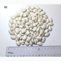 Продам квасолю сорту Бандоля