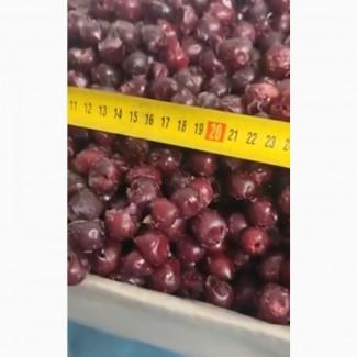 Продаємо заморожену вишню без кісточки. Гурт від 20 тонн