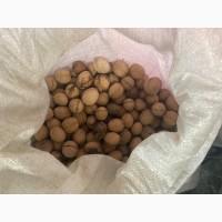 Куплю цілий горіх