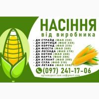 Високоякісне насіння кукурудзи від виробника N1 у Харківській області