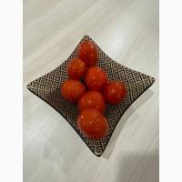 Продам квашені (солоні) томати