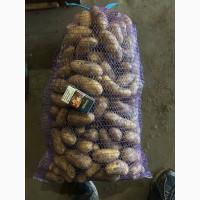 Продам картофель гранада