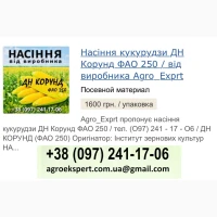 ДН Корунд (ФАО 250), Насіння кукурудзи від Agro_Exprt