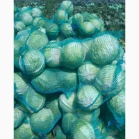 Продам капусту