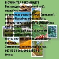 Продам бактороденцид (антимышин)