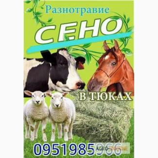 Продам ЛУГОВОЕ сено и ЛЮЦЕРНУ в тюках с доставкой по Украине