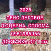 Продам ЛУГОВОЕ сено и ЛЮЦЕРНУ в тюках с доставкой по Украине