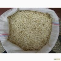 Продам семечку тыквы БОЛГАРКА
