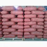 Грецкий орех - Переработка - Оптовая Купля и Продажа