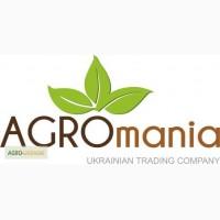 Компания Agromania ищет оптовых заготовителей мёда