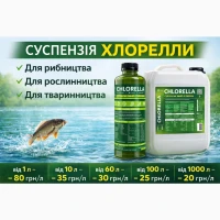 Суспензія Хлорелли від виробника. Живий планктонний штамм