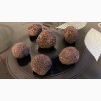 Трюфель чорний, трюфель черный, black truffle, Tartufo, Італія Карпати