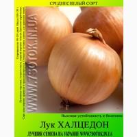 Семена лука «Халцедон», высокая всхожесть