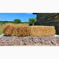 Солома ржаная тюки 20-22 кг