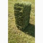 Сіно в тюках