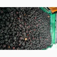 Продам Ожину морожену