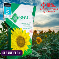 Насіння СОНЯШНИКА за цінами від виробника