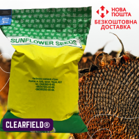 Насіння СОНЯШНИКА за цінами від виробника