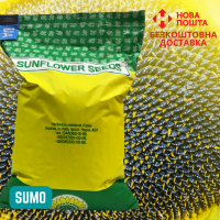 Насіння СОНЯШНИКА за цінами від виробника