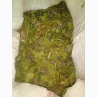 Продам фиалку душистую (лесную) сушеную, с корнем