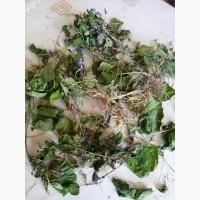 Продам фиалку душистую (лесную) сушеную, с корнем
