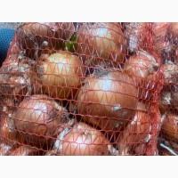 Продам цибулю