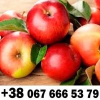 Купляємо на постійній основі - ДЗBОНІТЬ ТЕЛЕФОН на фото !!!! + ПДВ -ВАШ ТРАНСПОРТ