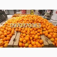 Продам мандарины оптом турция в