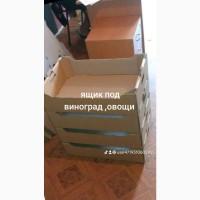 Виноградный ящик. Виноградный лоток