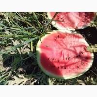 Куплю відходи тваринництва та інші