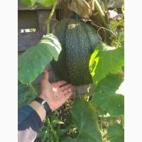 Куплю відходи тваринництва та інші