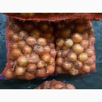 Продам. Цибулю медуза