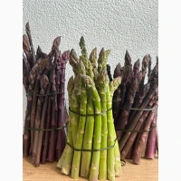 Продам спаржу зелену та фіолетову