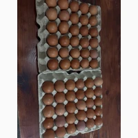 Продам яйце куряче