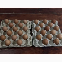 Продам яйце куряче