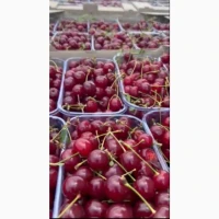 Продам вишню
