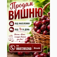 Продам вишню