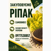 Куплю ріпак