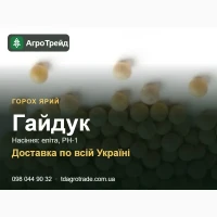 Ярий горох Гайдук: насіння для посіву