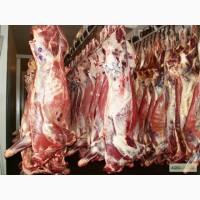 Говядина, субпродукты