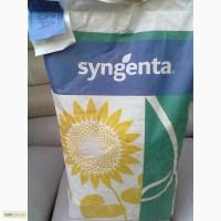 Продам Семена соняшника Syngenta НК Брио, НК Роккі