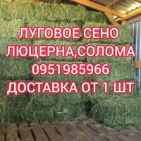 Б.н. расчёт, большие объёмы, доставка по Украине. Луговое сено, люцерна, солома