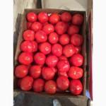 Продам томаты оптом