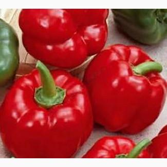 Продам семена Перец Топгриль (ратунда) «Satimex» Германия