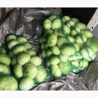 Продам Агрессор. Капуста ідеальної якості. Бистра погрузка