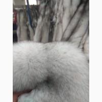 Продам шкури Польського песця