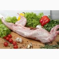Мясо кролика