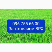 Купуємо ВРХ в Острозькому рн