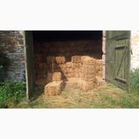 Сіно люцерни в квадратних тюках! Перший укос 2021р. Вага тюка 12-14кг