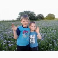 Продам бджолосi*i